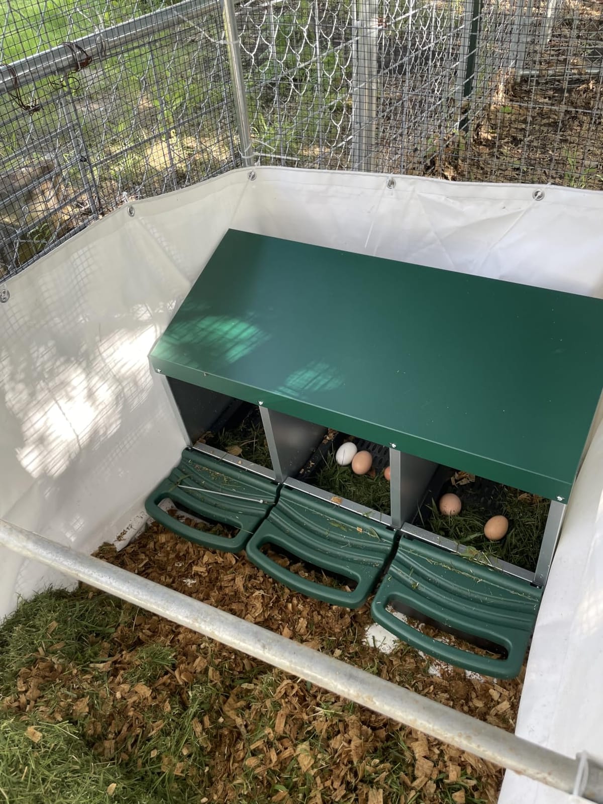 Chicken Nesting Boxes for Laying Eggs, Roll Away Nesting Boxes for Chickens customer photo 2
