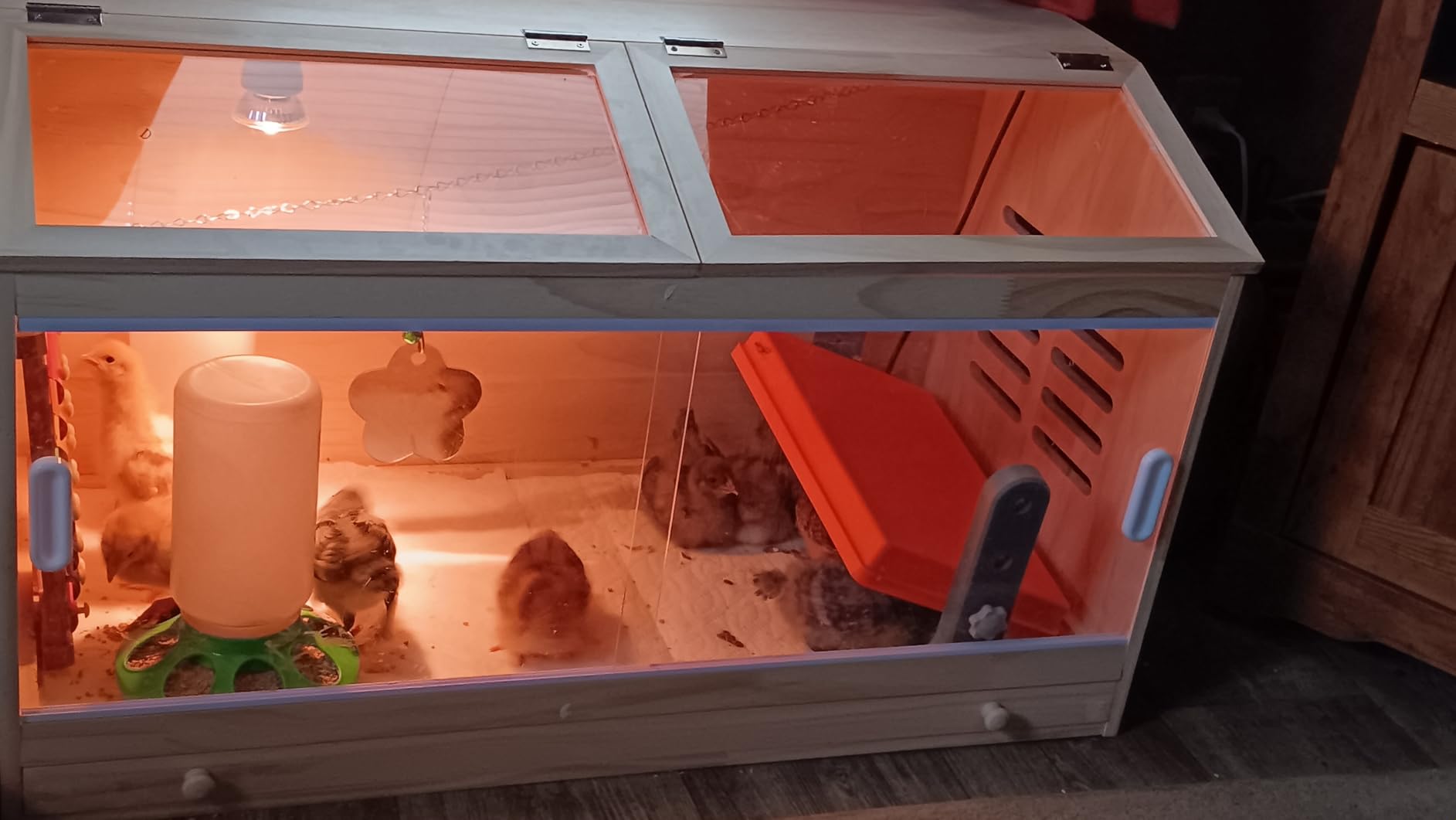 Wooden Chick Brooder Box with Heat Lamp and Thermometer, 15.7 x 12 x 12 in customer photo 2
