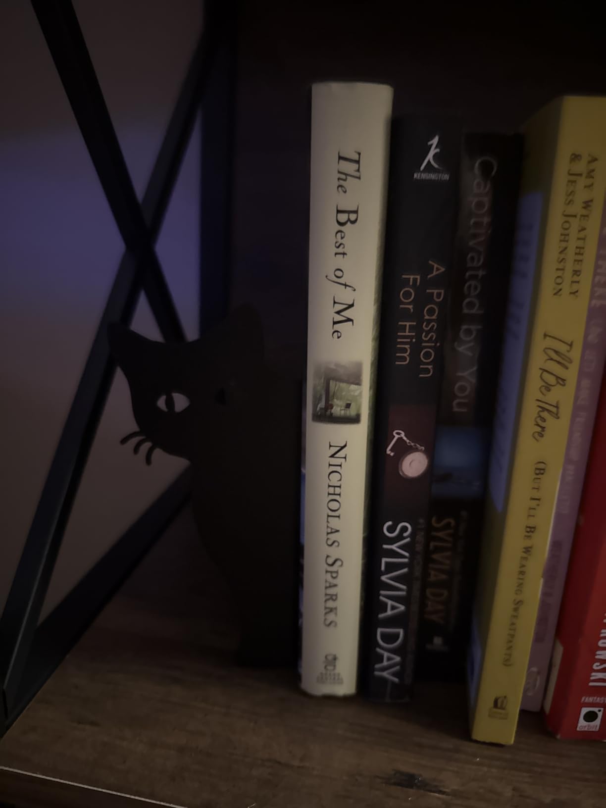 Geelin Rabbit Bookends Set of 2, Metal Bunny Book Ends for Shelves customer photo 2