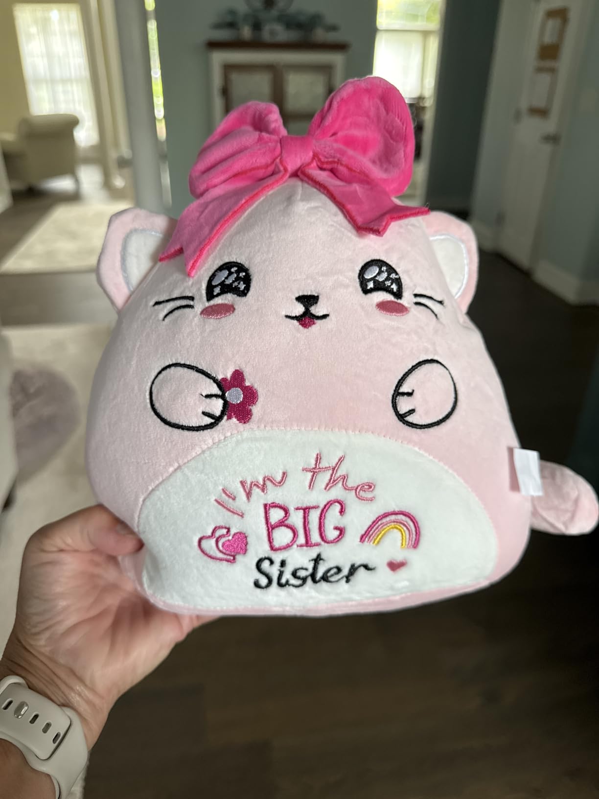 Big Sister Gifts Bear Plush – Pink Bear Stuffed Animal I'm the Big Sister Embroidery Soft Plush Pillow for Girl Sister's Birthday New Baby Announcement Sibling Gift 11 Inch customer photo 1