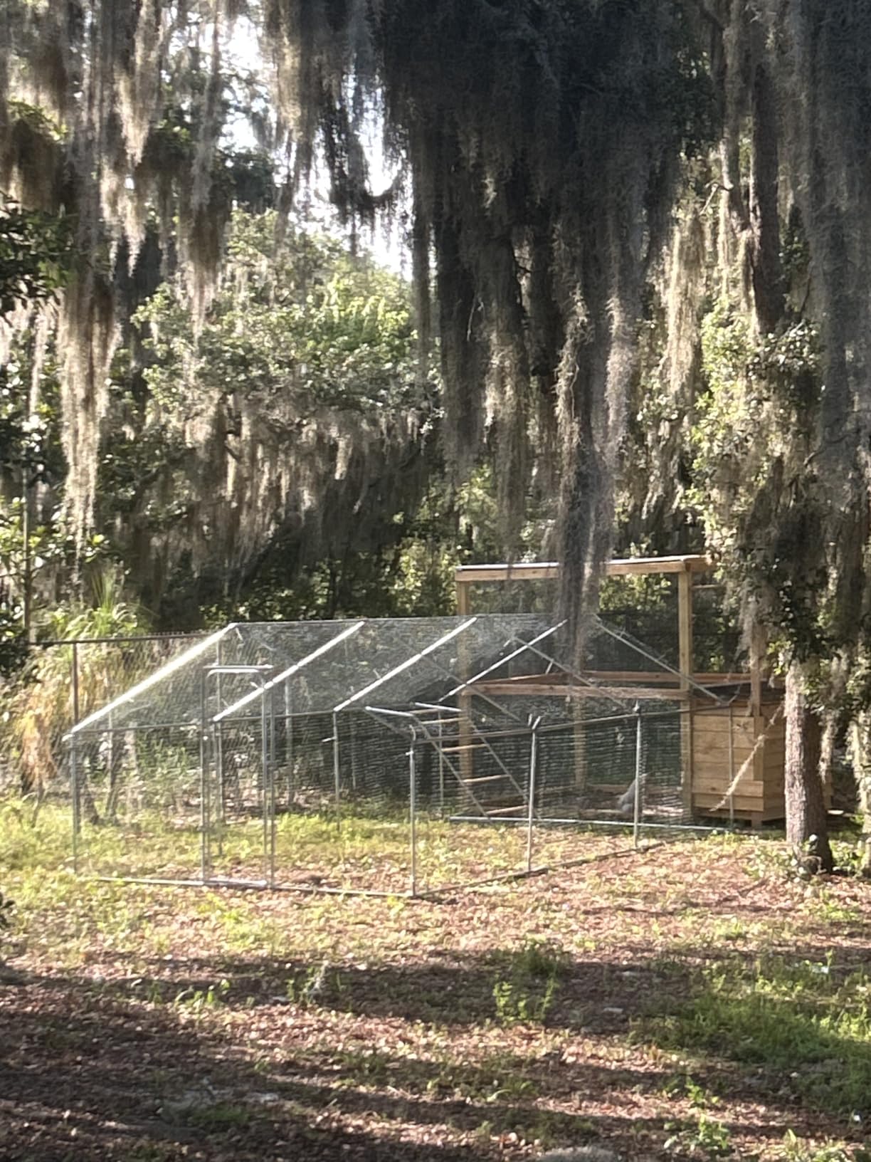 20x10 FT Extra Large Metal Chicken Coop, Walk-in Poultry Run Pen customer photo 2