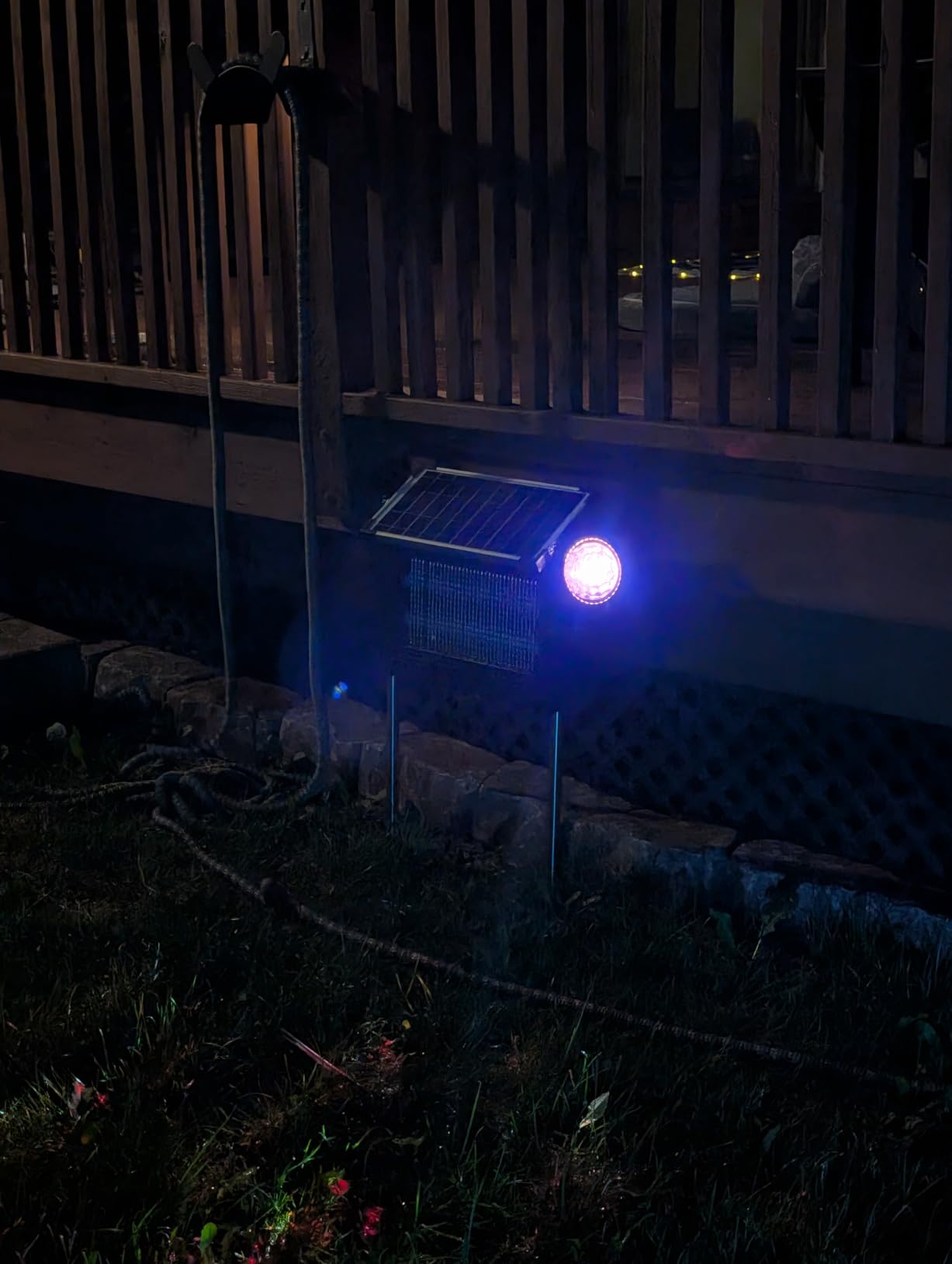 2‑in‑1 Solar Bug Zapper Outdoor, Electric Mosquito Killer Insect Trap customer photo 2