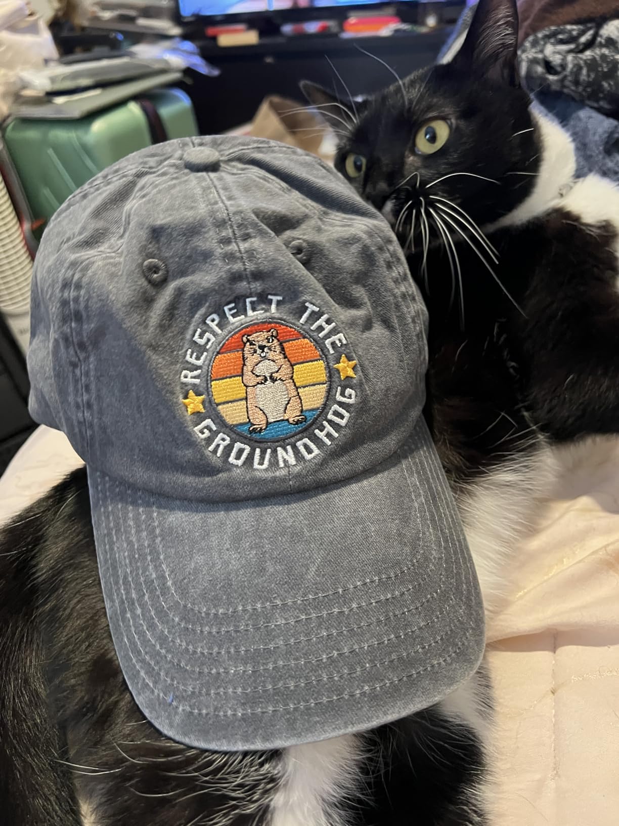 InnoBeta Groundhog Gifts for Women, Groundhog Day Cap, Adjustable Embroidered Hat Grey customer photo 1