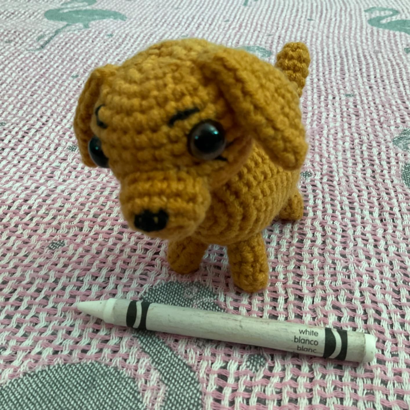 Crochet Kit for Beginners, Axolotls Cat Crochet Kit for Adults Beginner customer photo 1