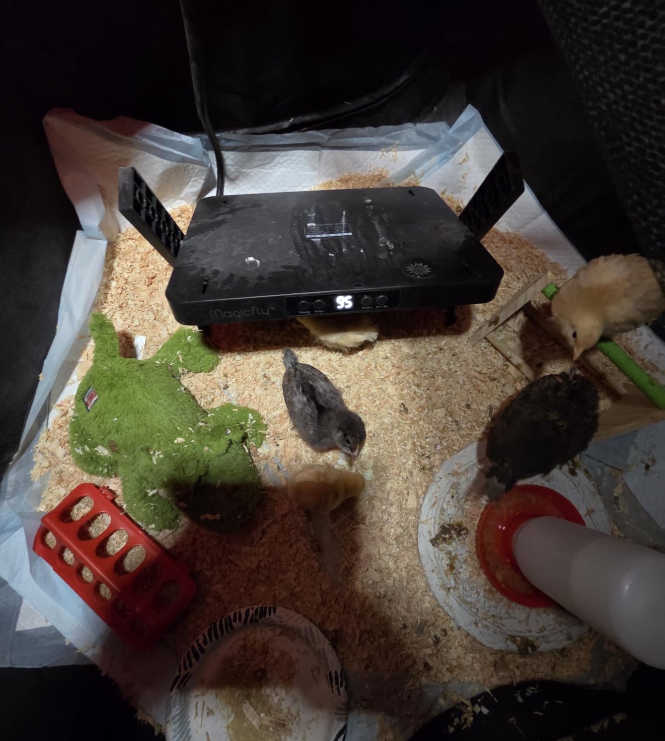 Magicfly Brooder Box for Chicks Starter Kit with 15 x 11 Inch Heating Plate customer photo 2