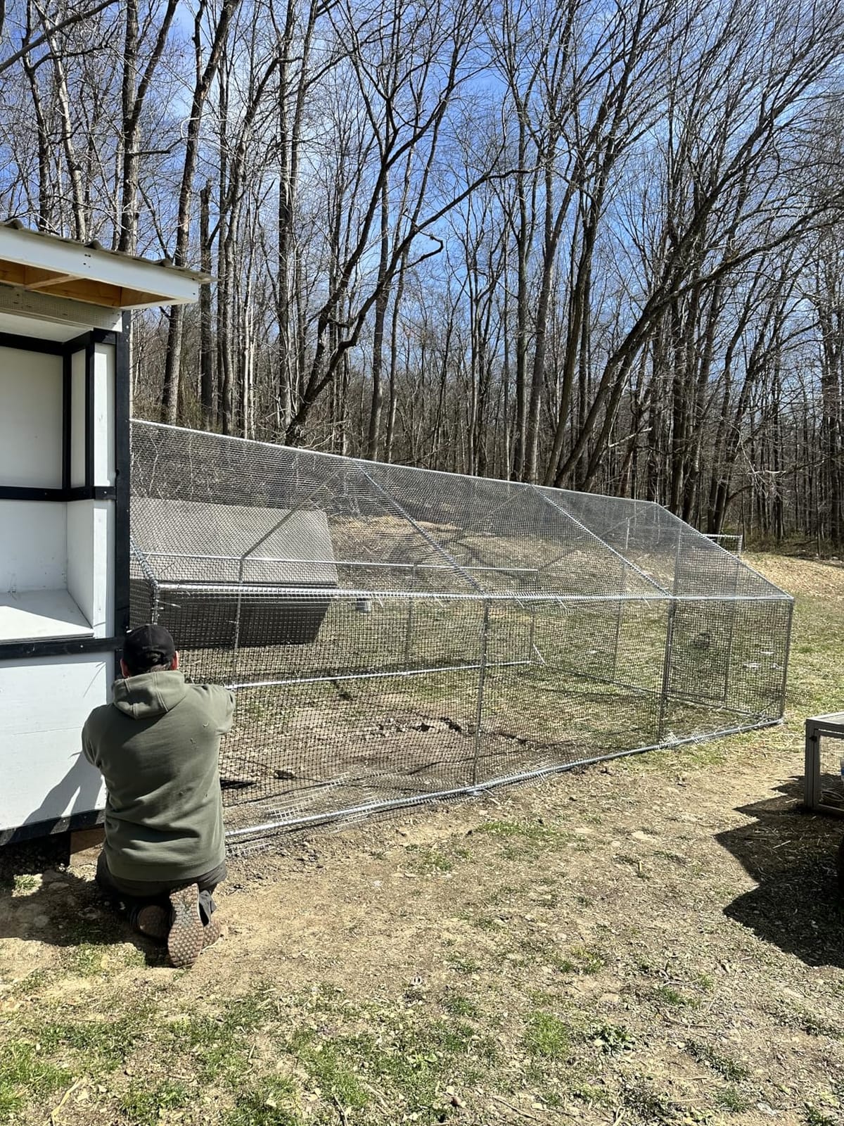 CAMMOO Walk in Chicken Coop, 13.1x9.8x6.6ft Chicken Run for Yard with Cover customer photo 1