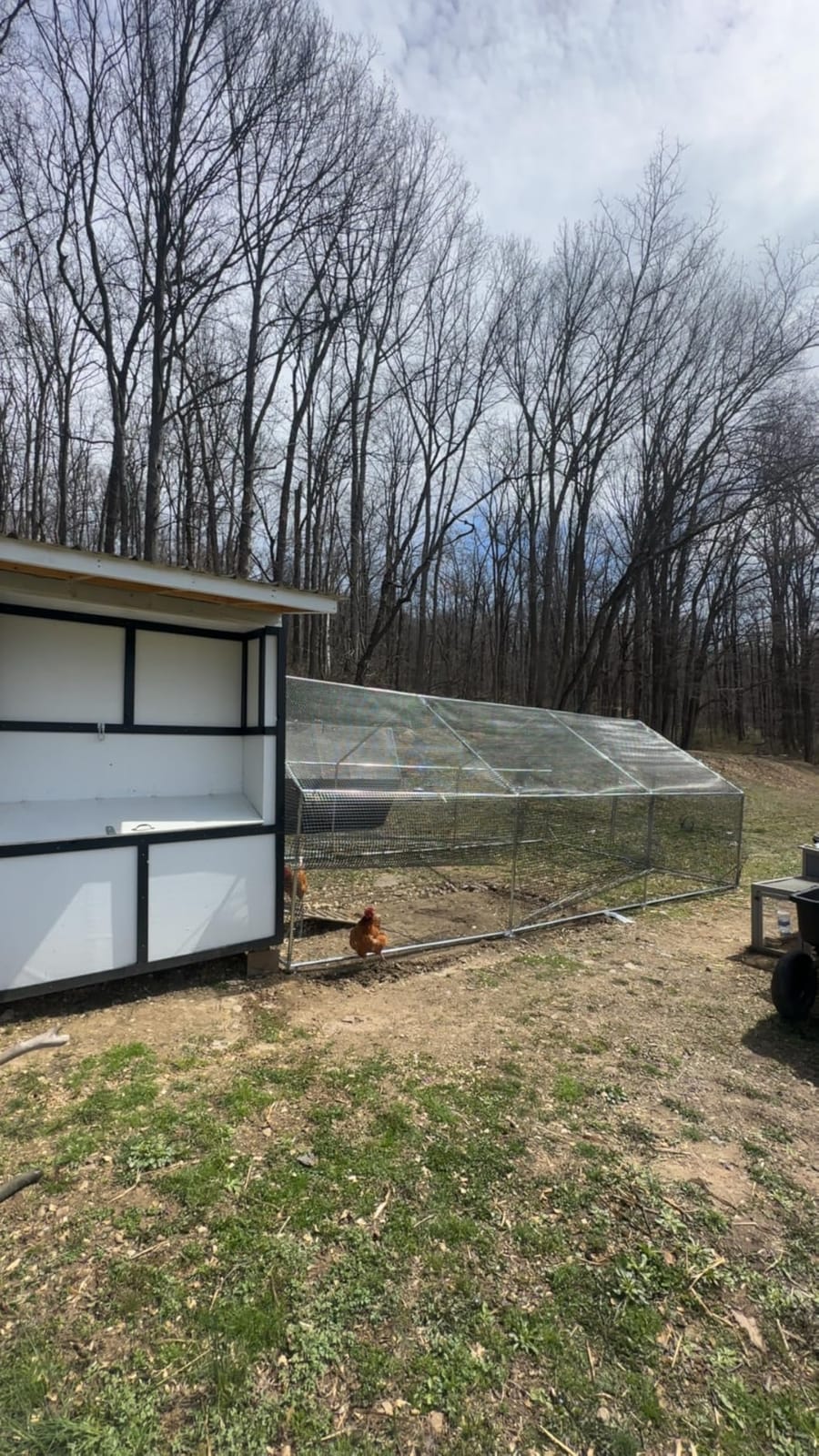 CAMMOO Walk in Chicken Coop, 13.1x9.8x6.6ft Chicken Run for Yard with Cover customer photo 2