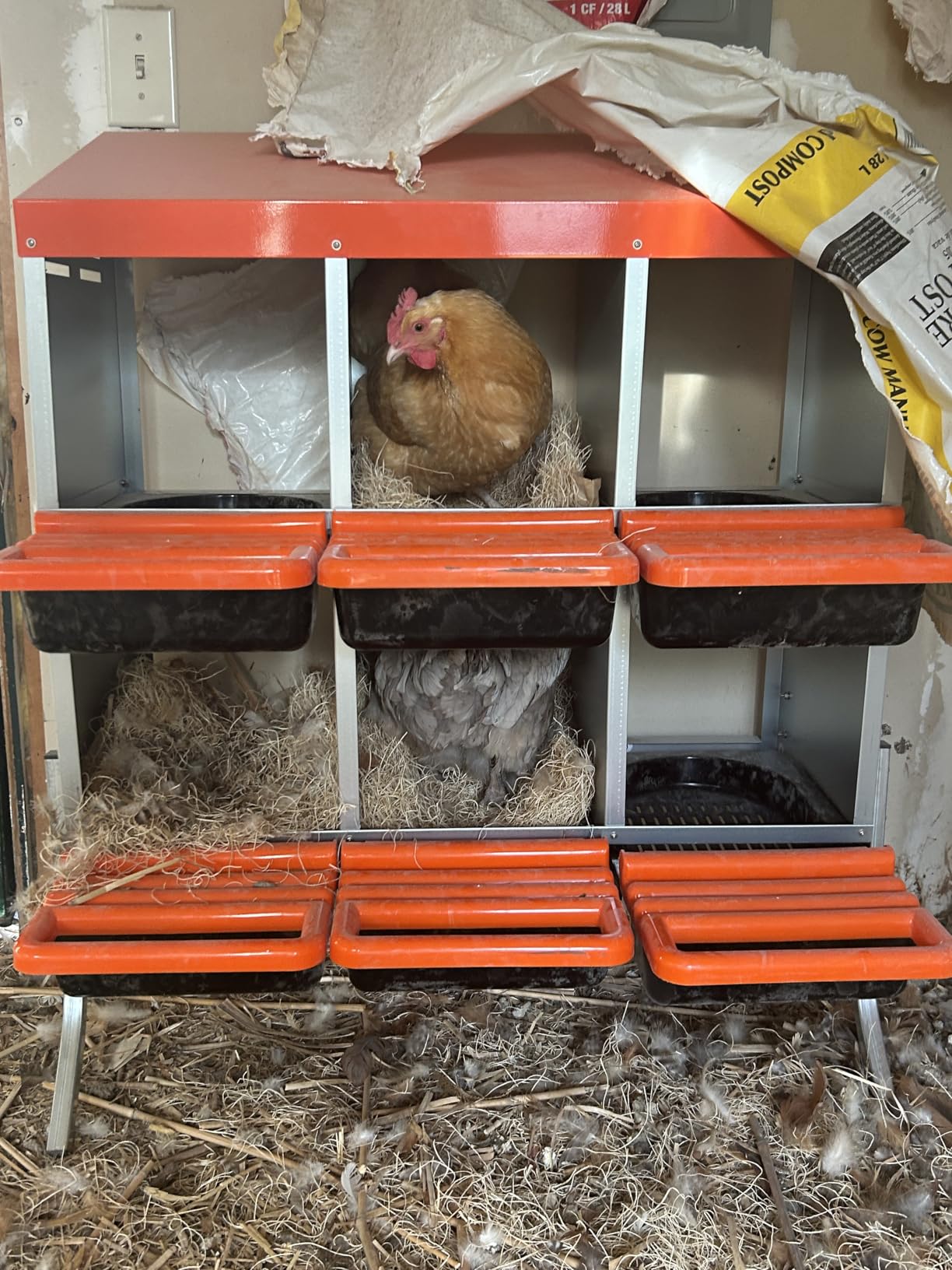 VEVOR Chicken Nesting Boxes, 4 Compartments, with Support Legs, Easy Egg Collection, Galvanized Steel and High-Strength Plastic, Roll Away Nesting Boxes for Chickens and Hens Laying Eggs, Orange customer photo 2