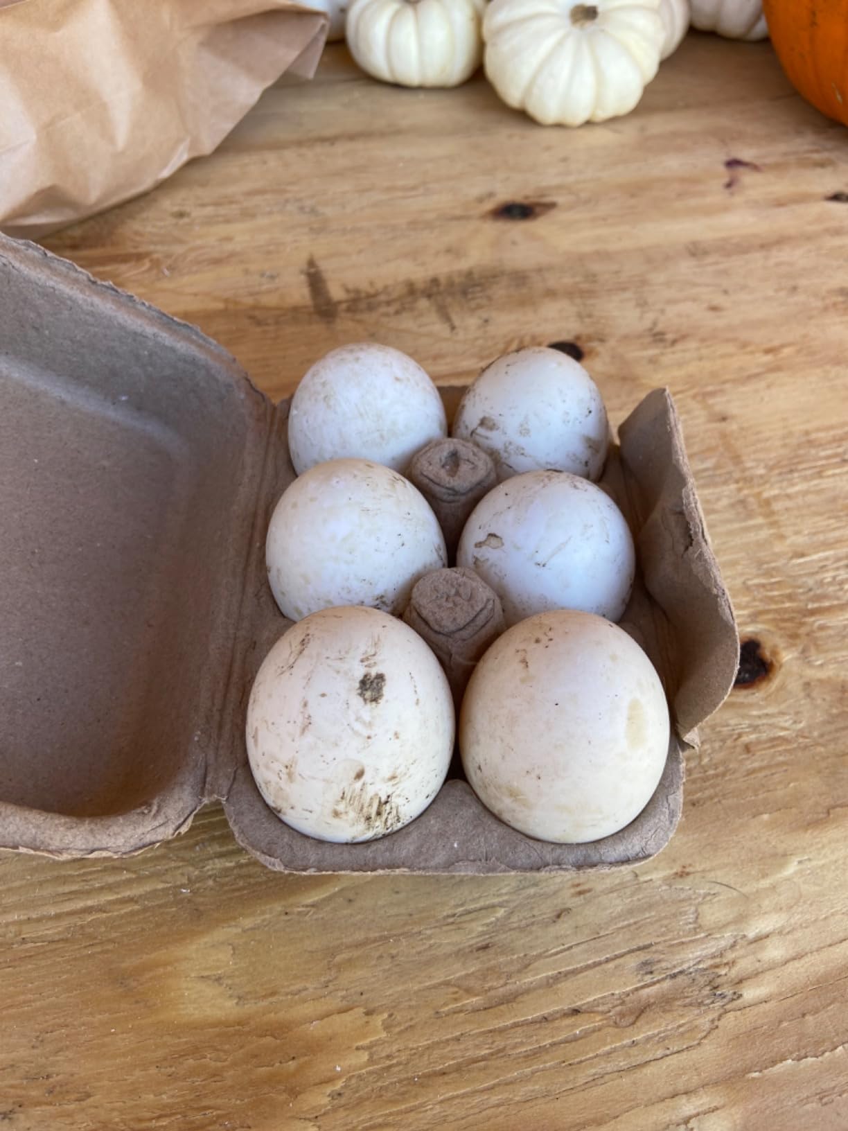 25-Pack Empty Egg Cartons 12 Count,Natural Paper Pulp Egg Cartons Bulk for Fresh Eggs Storage,Reusable Cardboard Eggs Holder for Farm, Kitchen, Organizing & Transport customer photo 1