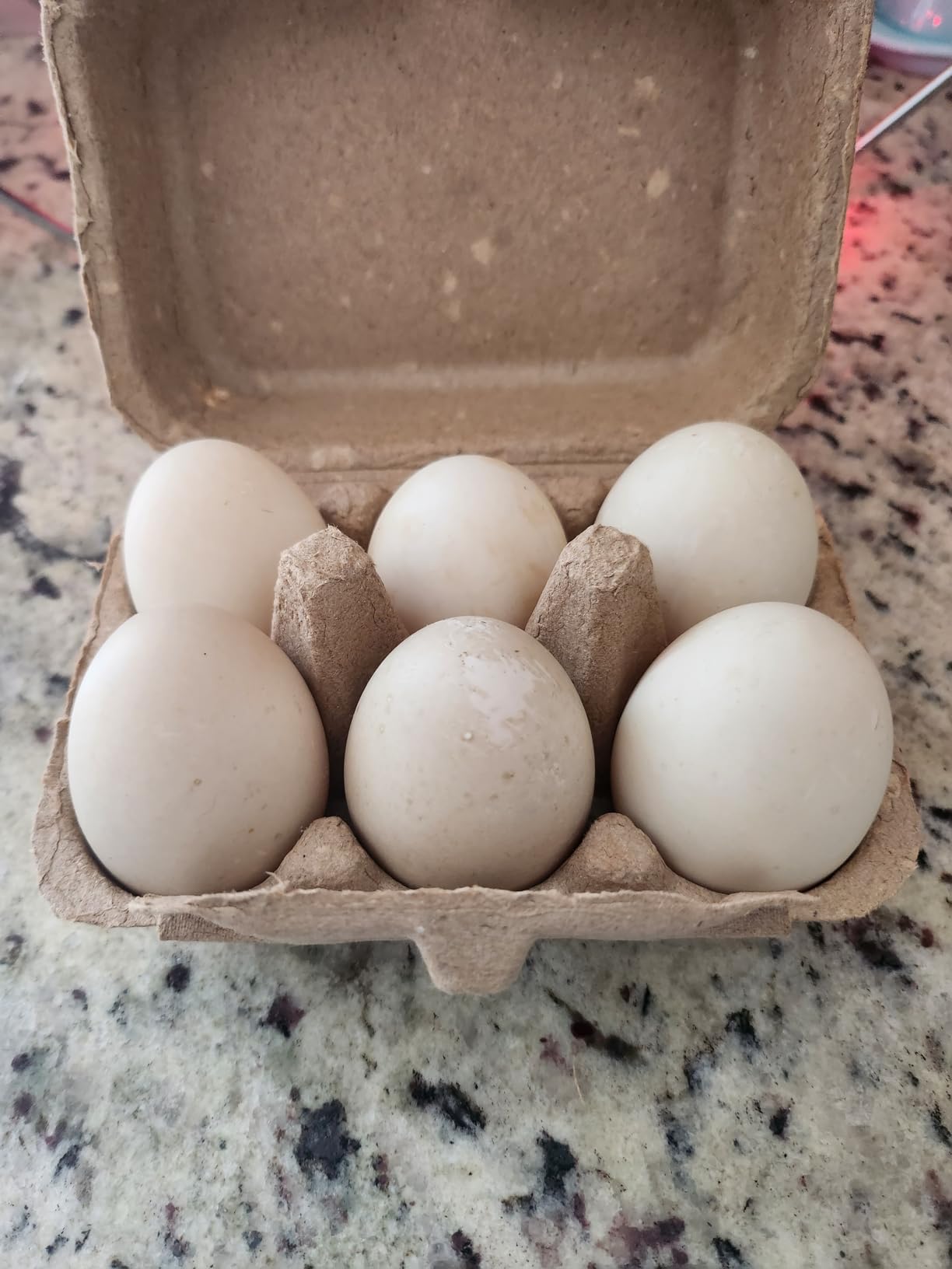 25-Pack Empty Egg Cartons 12 Count,Natural Paper Pulp Egg Cartons Bulk for Fresh Eggs Storage,Reusable Cardboard Eggs Holder for Farm, Kitchen, Organizing & Transport customer photo 2