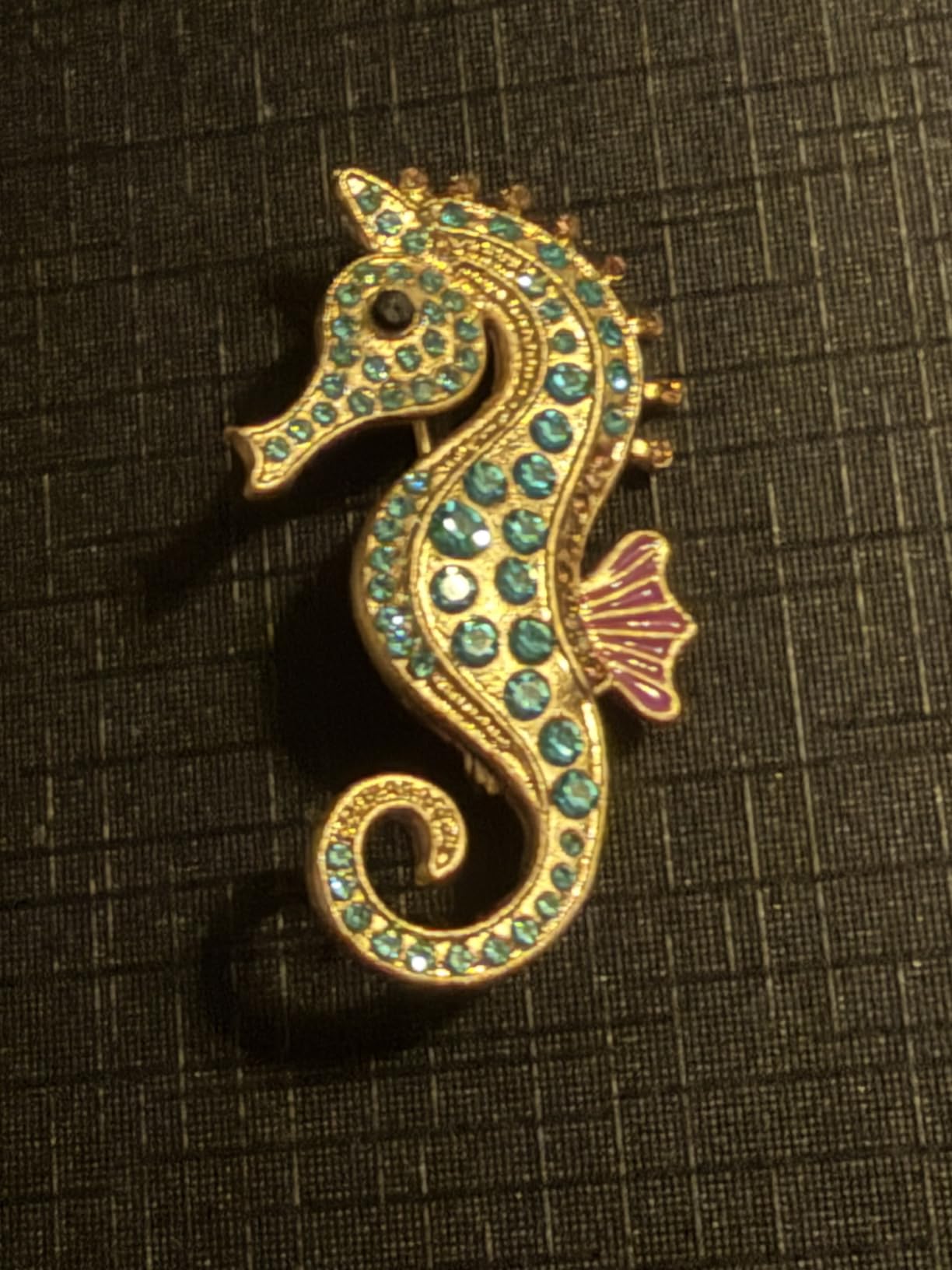 Seahorse Brooch Boho Pin Charm Jewelry Gift for Women Men Teens Ocean Spirit Accessory Trendy Statement Piece for Beach Lovers and Sea Life Fans customer photo 1