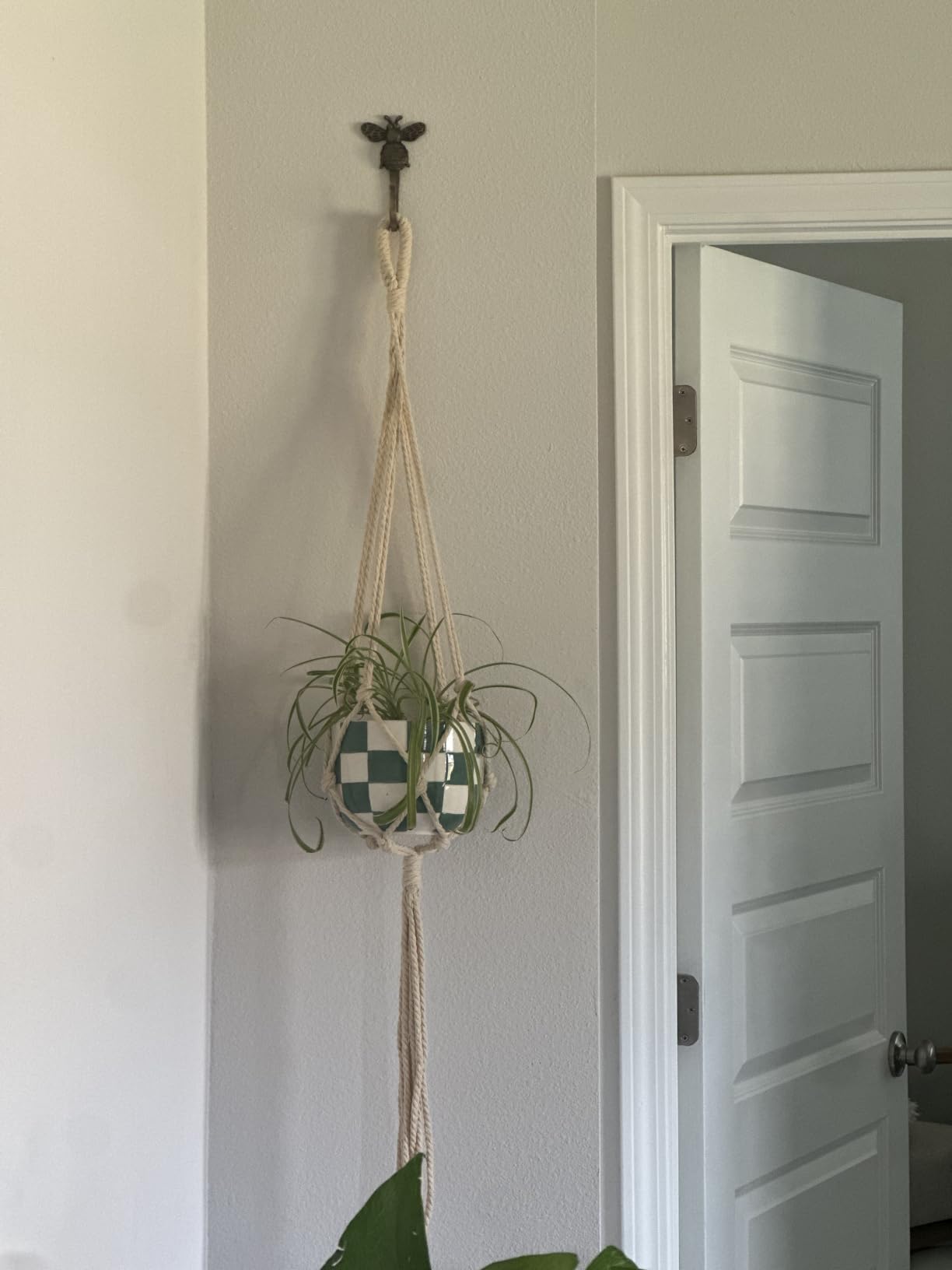 Cast Iron Owl Hook, Large, Heavy Duty, 4.9 inch Tall, Farmhouse Decorative Wall Hook, Vintage Decor for Hanging Coats, Bags, Hats, Towels (Antique Bronze) customer photo 2