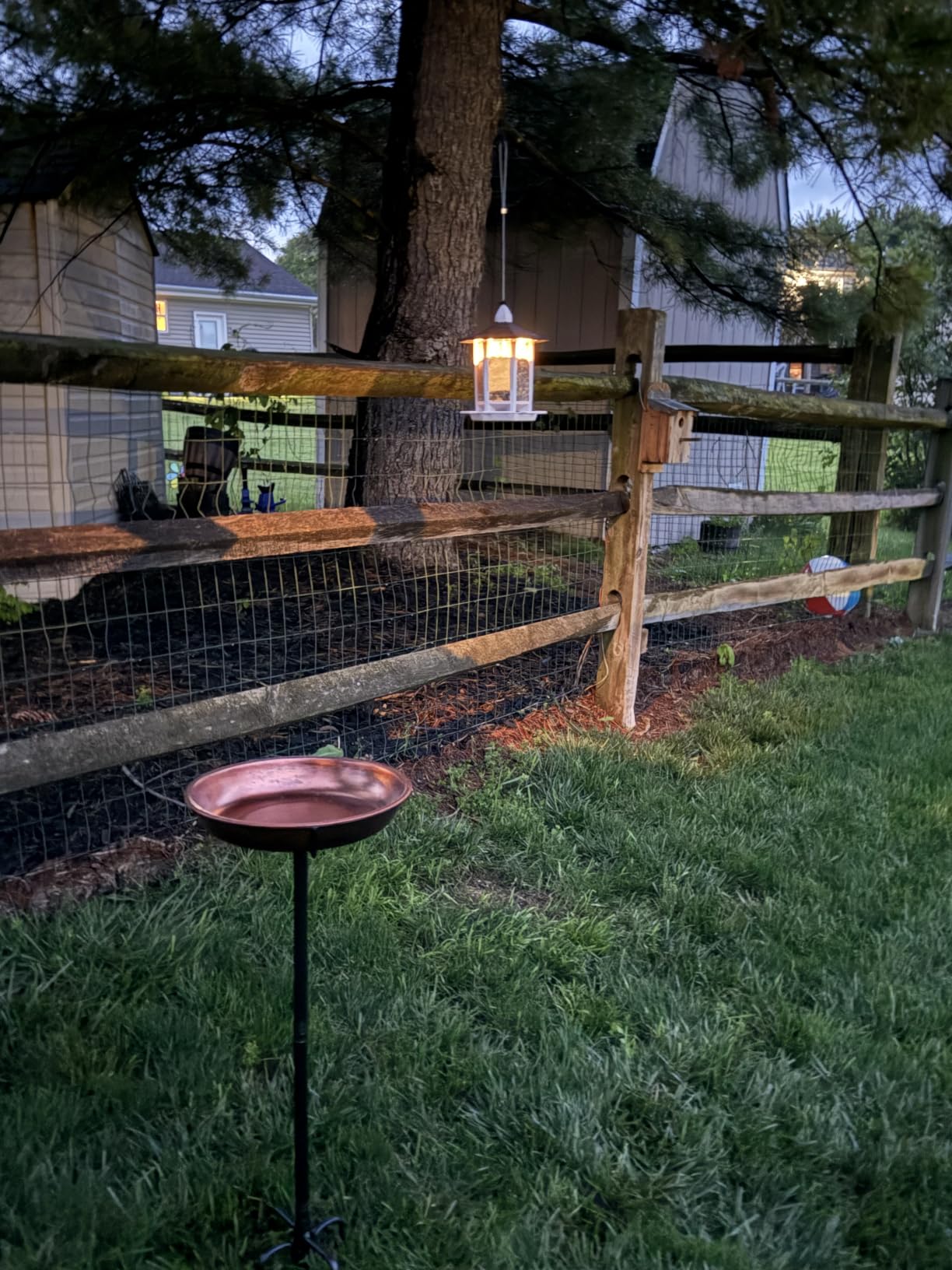 Birdream Solar Bird Feeders for Outdoors Hanging, Assembly Required, 1-Min Easy Setup, Wild Seed Feeders for Cardinals Chickadees and Finches customer photo 2