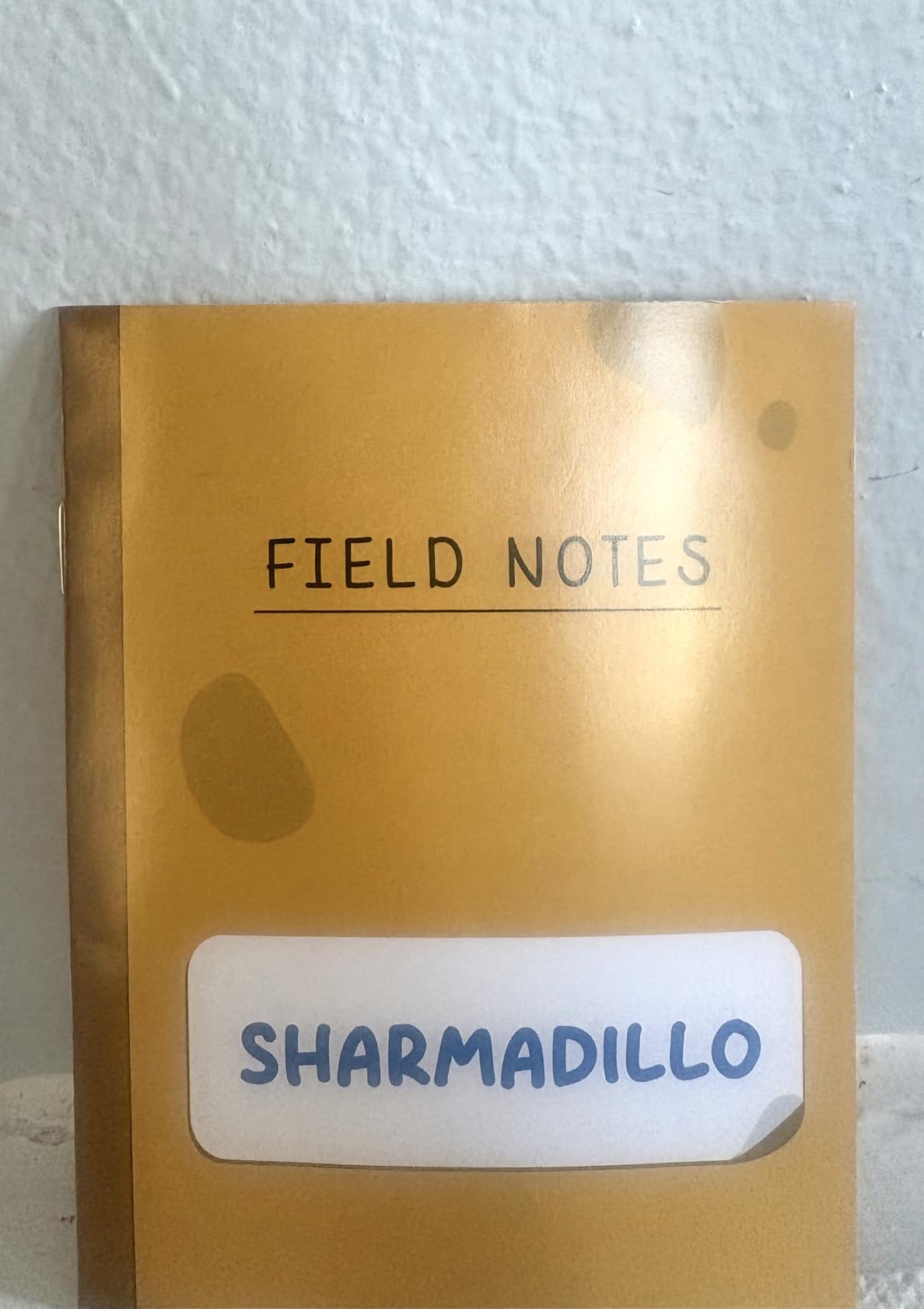 Shaan Sharmadillo - 12