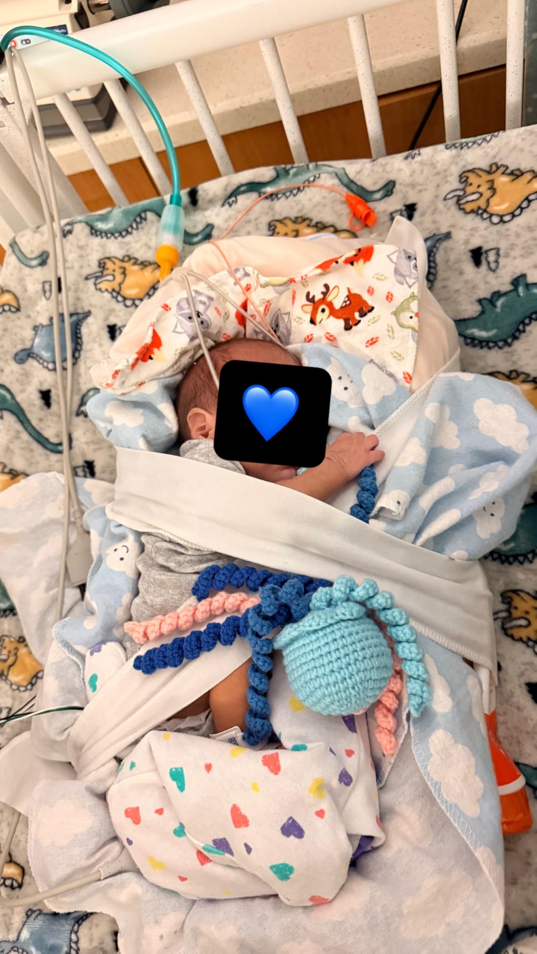 Handmade Crochet Octopus for NICU Baby & Preemies, Gifts for Baby (Gray) customer photo 1