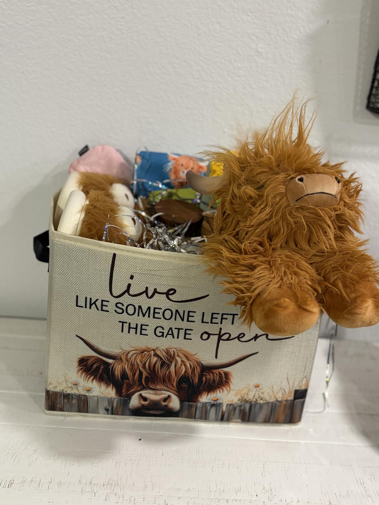 Rustic Squirrel Storage Bins & Boxes with Handles, Farmhouse Squirrel Foldable Basket for Organizing, Live Like Someone Left the Gate Open Collapsible Storage Basket for Bedroom Bathroom Clothes customer photo 1