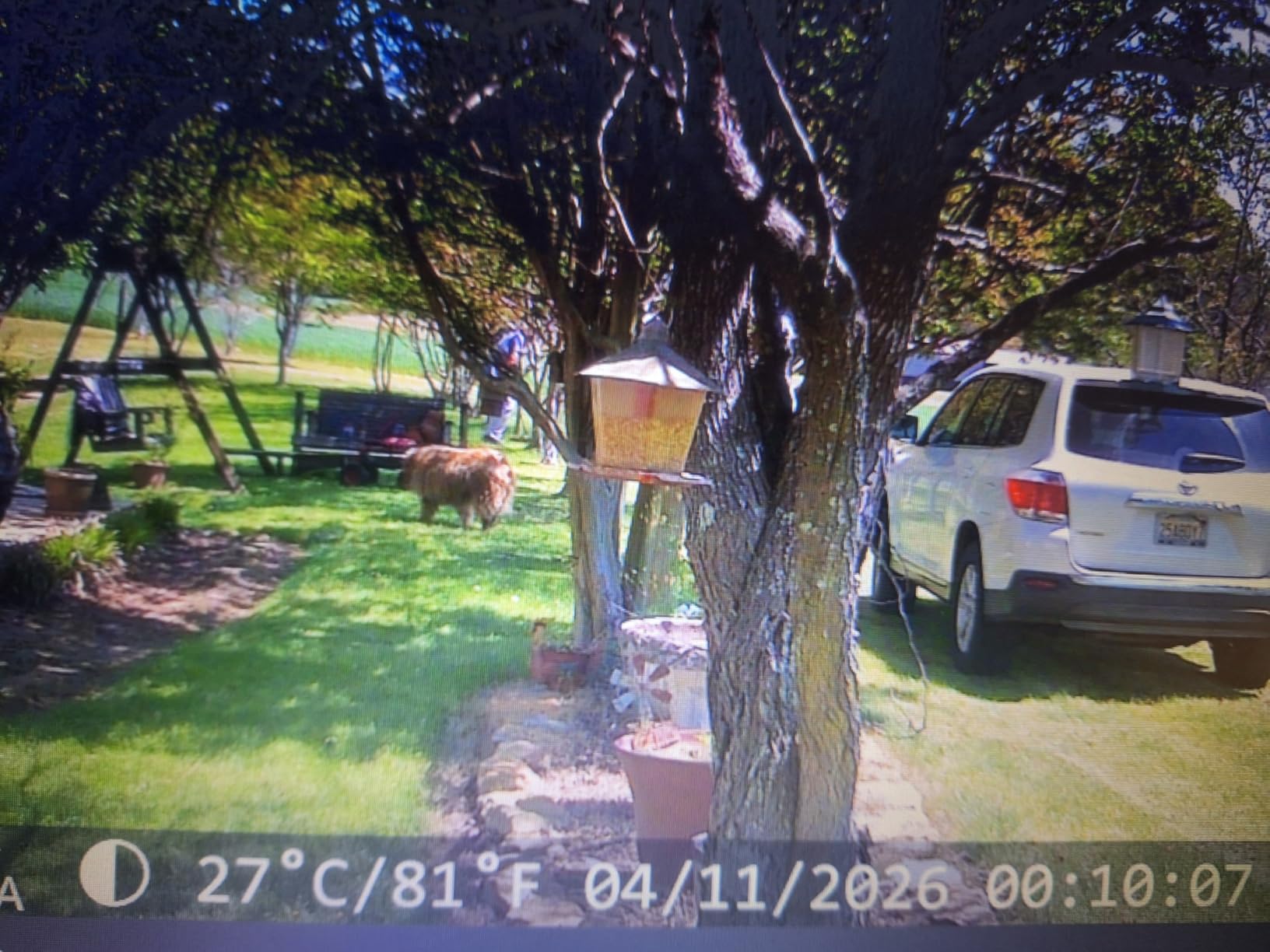 4K 64MP Solar Trail Camera WiFi, 32GB SD Card,Night Vision Motion Activated customer photo 1