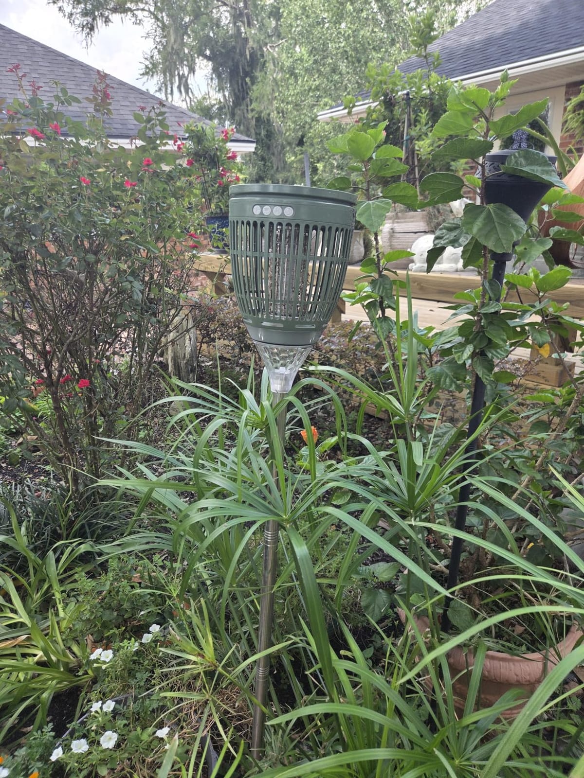 Rossetta Solar Bug Zapper Outdoor, Fly Zapper with Flame & Projector Light customer photo 2