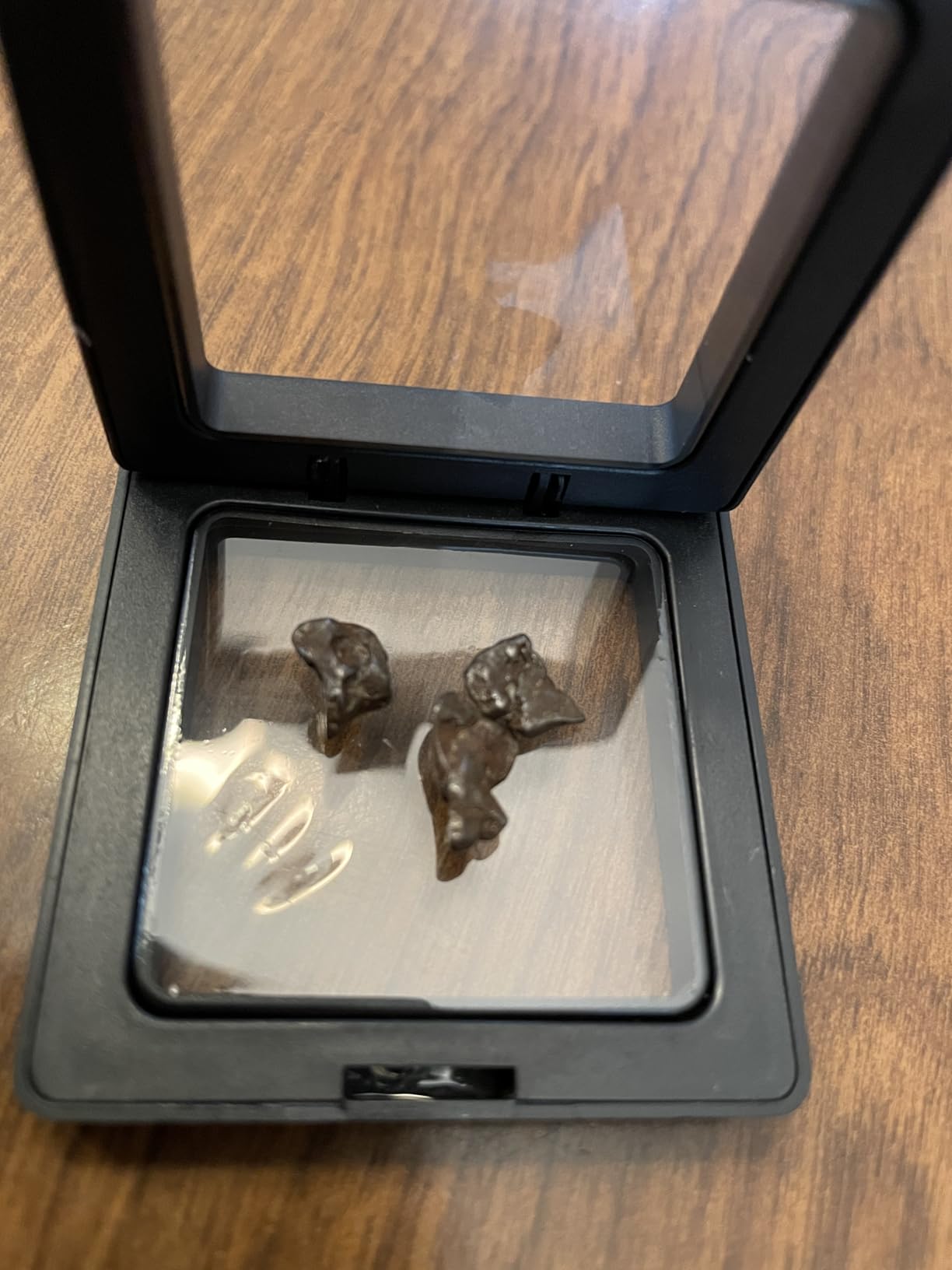 Authentic Argentine Meteorite Stones (3 Pieces), Authentic Campo del Cielo Space Rock 1-3g Each, Real Meteorite Specimen with Display Box, Velvet Pouch, Magnifying Glass customer photo 2