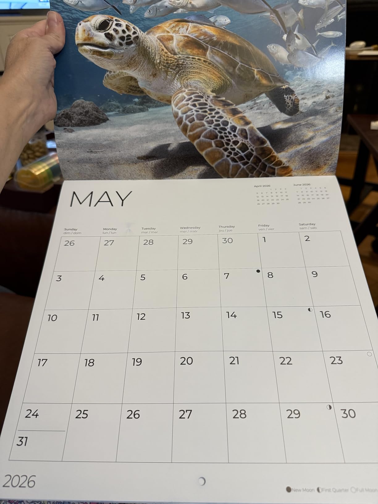 Coral Reefs 2027 Wall Calendar, 12 x 24 Hanging Pacific Waters Press | Nature and sea animal wall calendar with spacious monthly grids, holidays, and beautiful full-color artwork customer photo 1
