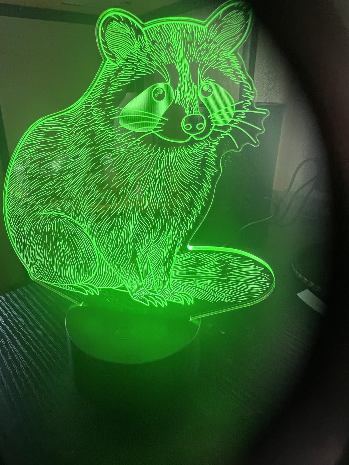 Lampeez Raccoon 3D Night Light for Kids, LED 16 Colors Remote Control Changing Touch Dimmable Table Desk Lamp, Cute Animal Gifts for Raccoon Lovers Animal Fans customer photo 1
