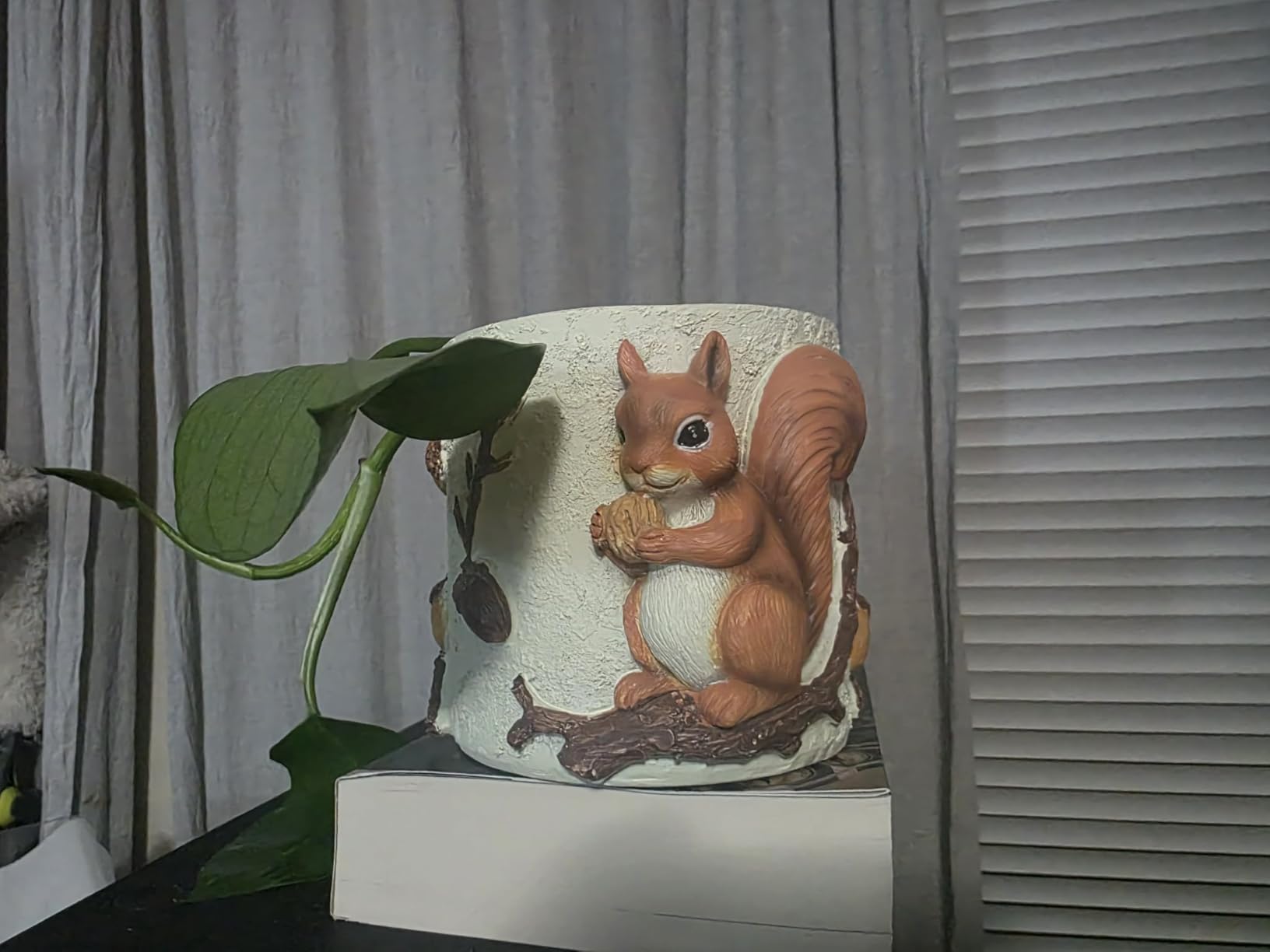 Unique Squirrel Plant Pots Cute Succulent Pots with Drainage Hole customer photo 2