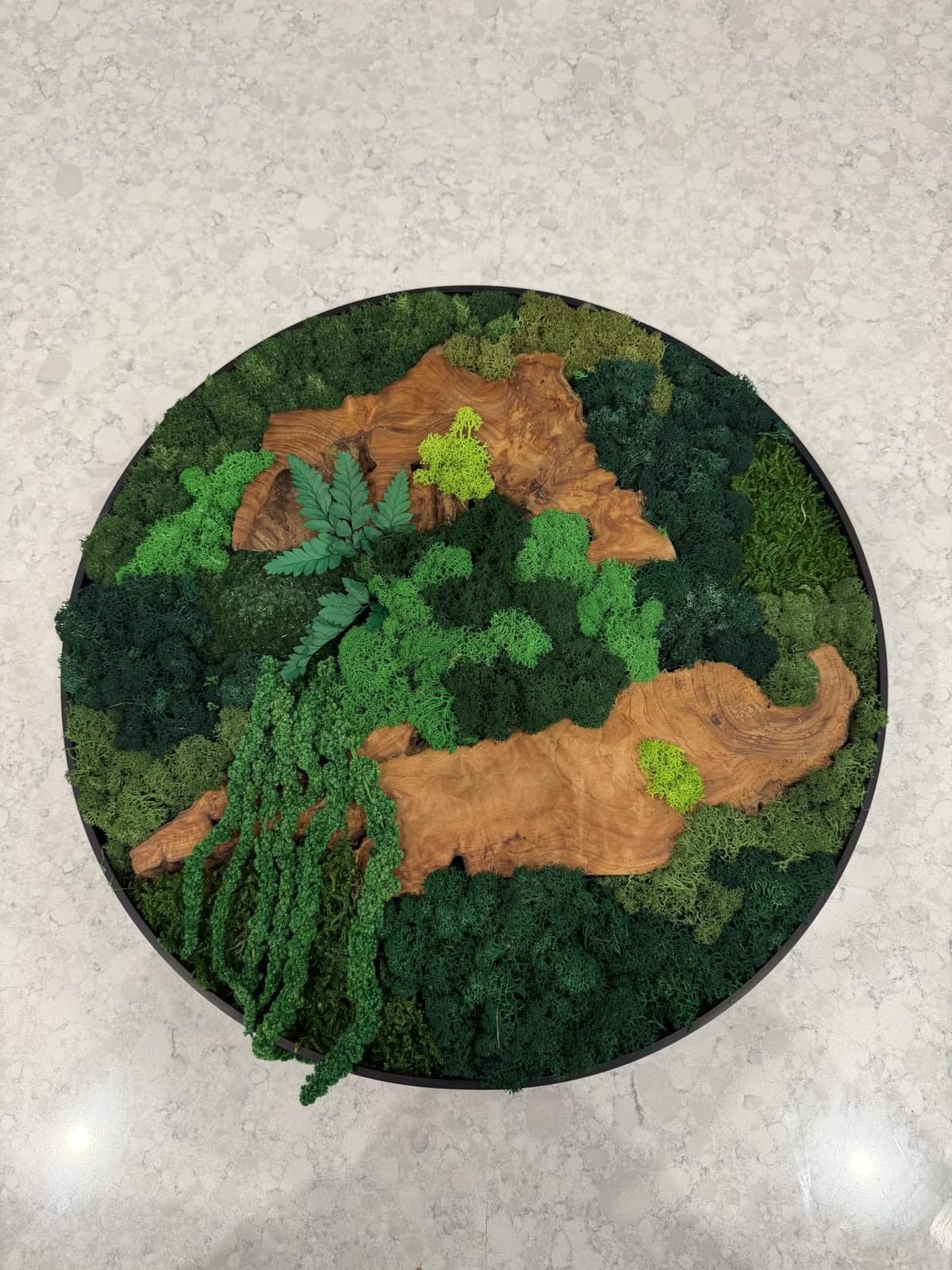 vadmepiop 16 In Moss Wall Art Natural Moss and Wood Handcrafted Rustic Charm, Modern Nature Wall Hanging for Living Room & Office, Office, Restaurant, Bar & Cafe No Maintenance (16in, Round) customer photo 2