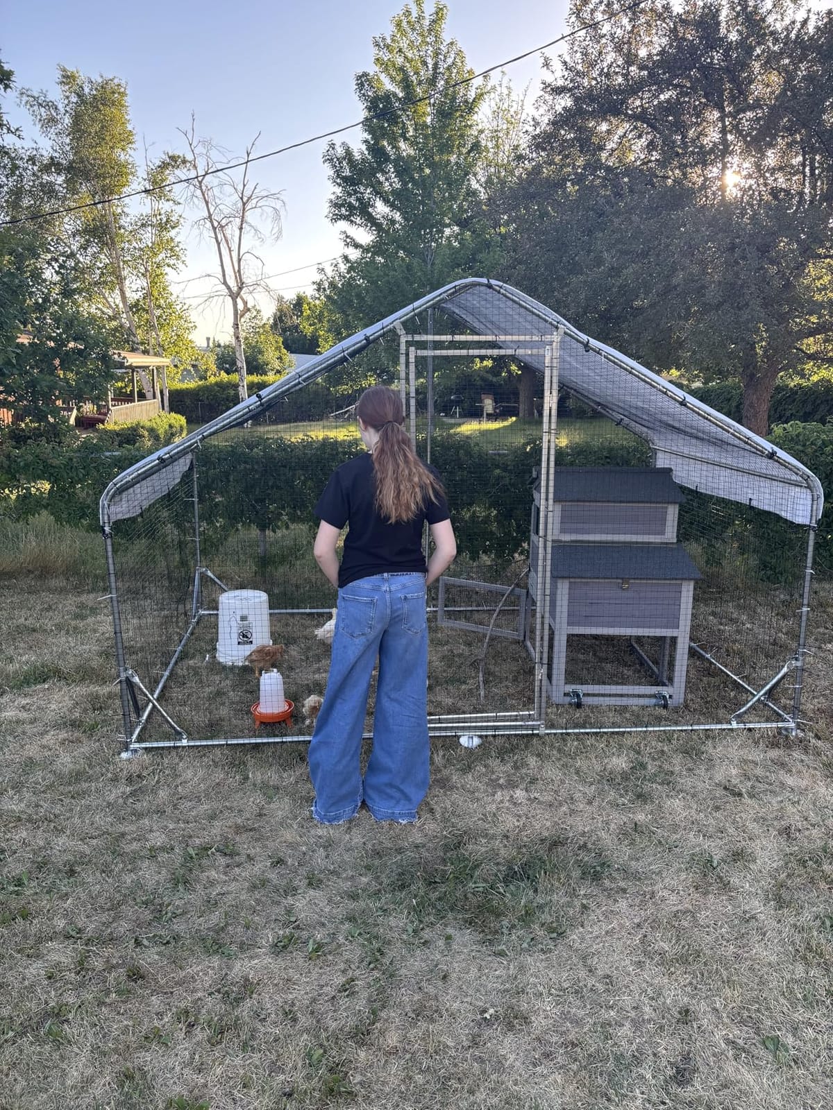 Metal Chicken Coop with Hardware Cloth, Walk-in Poultry Cage for Hen Duck customer photo 2