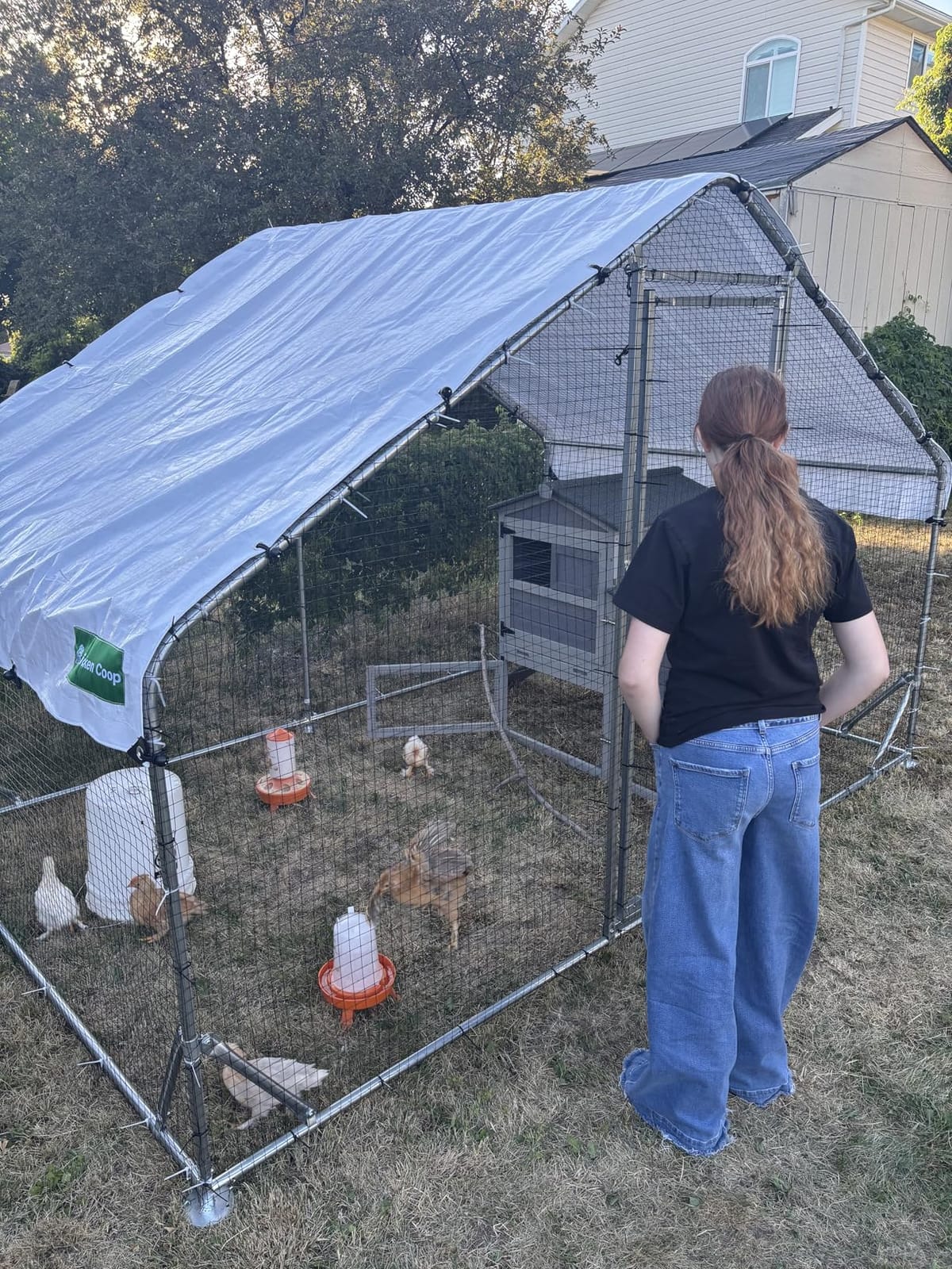 Walk-in Chicken Coop 234