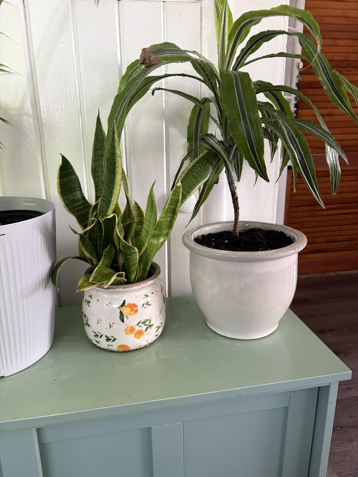 Cottagecore Ceramic Vase & Planter, flower pots for indoor plants | Small Herb Pots with Drainage for Kitchen Windowsill, Rustic Farmhouse Decor, Plant Lover Gifts for Women, Cottage Fern customer photo 1