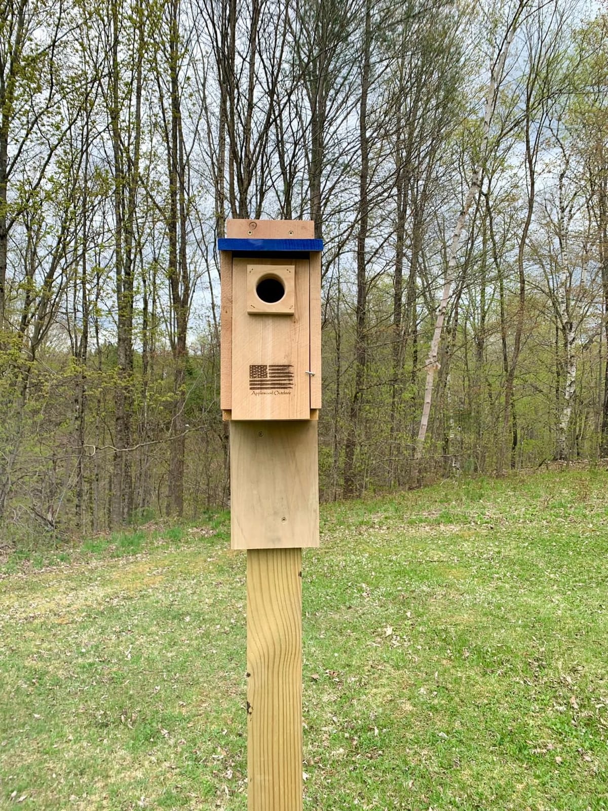 Made in USA,Rustic Cedar Bird Houses with Solar Camera,Durable Bird Houses for Outside w/Predator Guard,Easy-to-Install Bird Box for Bluebirds, Chickadees and More - Applewood Outdoor customer photo 2