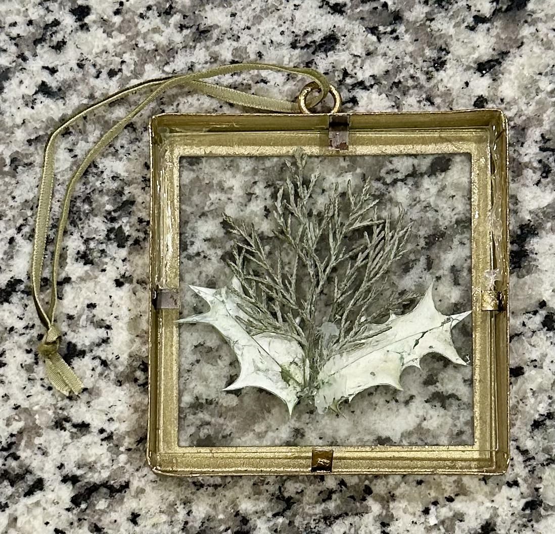 Glass Pressed Flower Frame Vintage Distressed Green Wood Botanical Wall Art Rustic Pressed Permanent Flowers Ornaments, Farmhouse Glass Frame Desktop Display Decor with Dried Flowers Plants Specimen for Home, Living Room, Bedroom customer photo 1