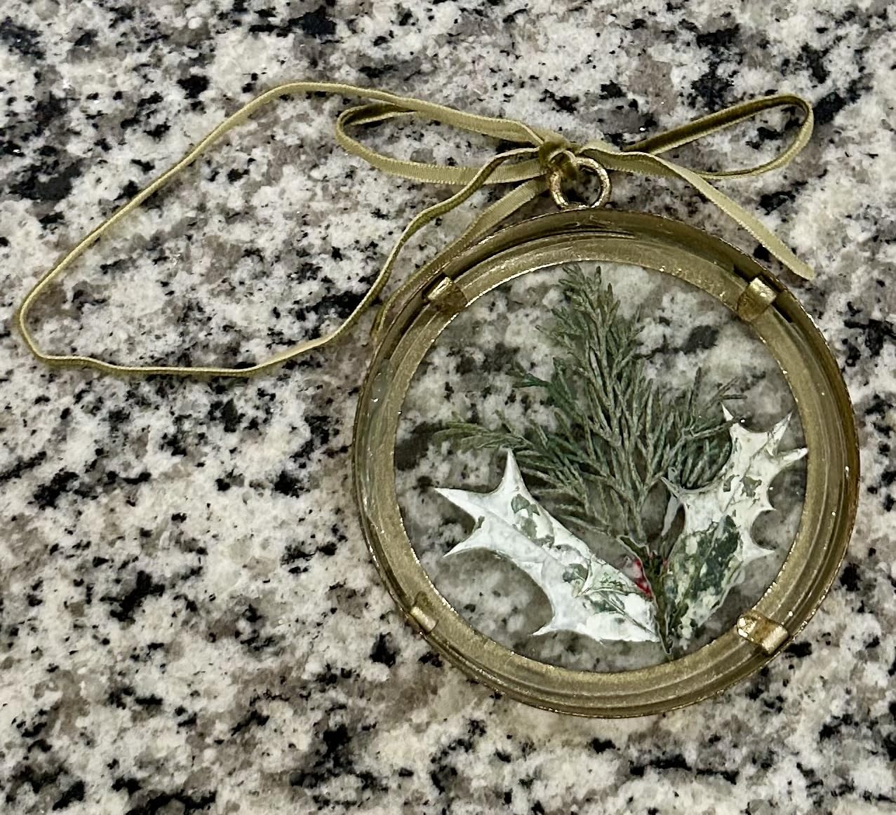 Glass Pressed Flower Frame Vintage Distressed Green Wood Botanical Wall Art Rustic Pressed Permanent Flowers Ornaments, Farmhouse Glass Frame Desktop Display Decor with Dried Flowers Plants Specimen for Home, Living Room, Bedroom customer photo 2