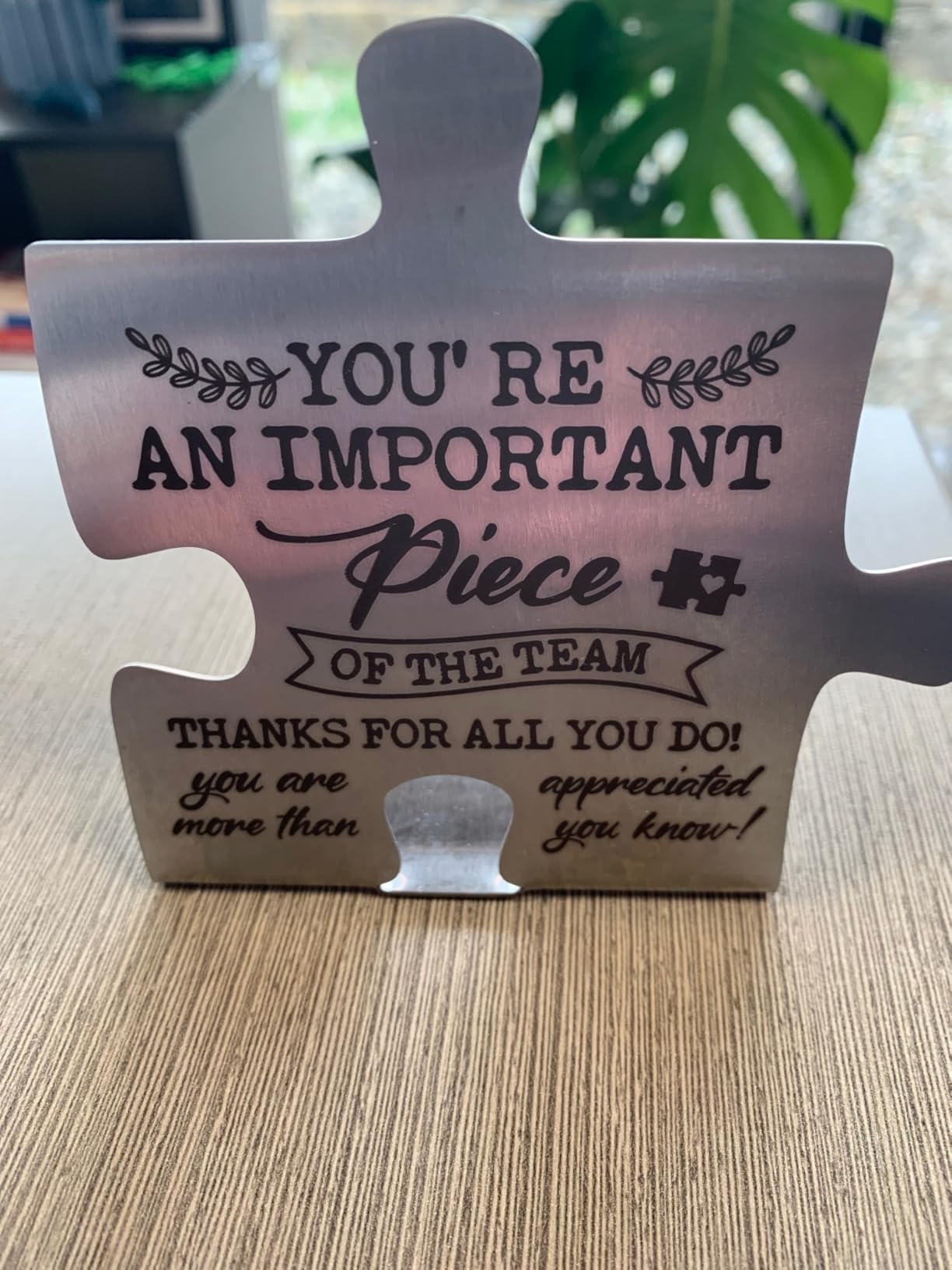 Oncologist Appreciation Gift for Doctor Healthcare Worker Thank You Desk Decor Sign Inspirational Puzzle Plaque You Made the Difference Recognition Gift for Medical Office YCC44 customer photo 1