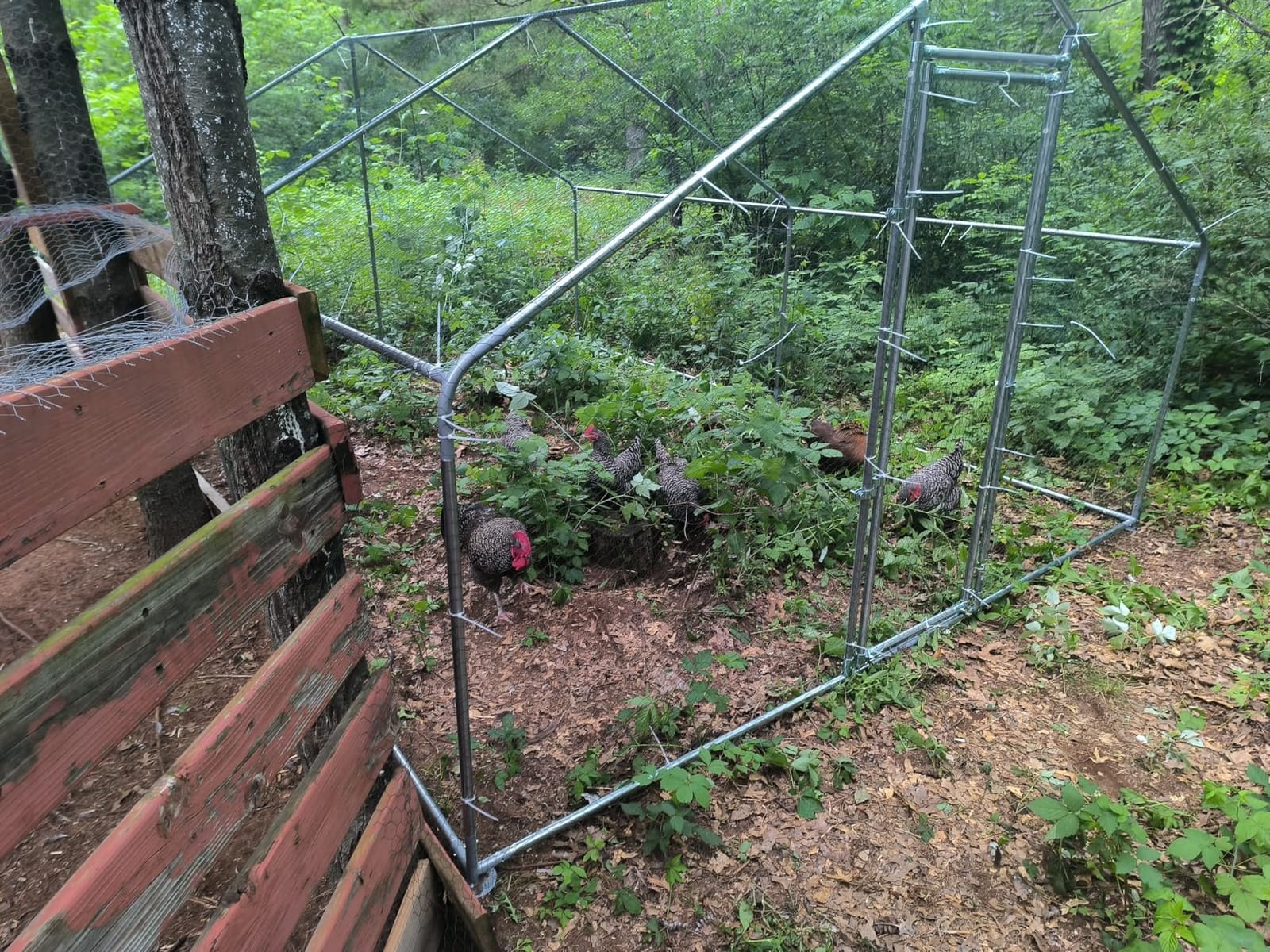 TOLEAD Large Metal Chicken Coop Upgrade Tri-Supporting Wire Mesh Chicken Run,Chicken Pen Walk in with Water-Resident and Anti-UV Cover,Duck Rabbit House OutdoorοΌ374.4