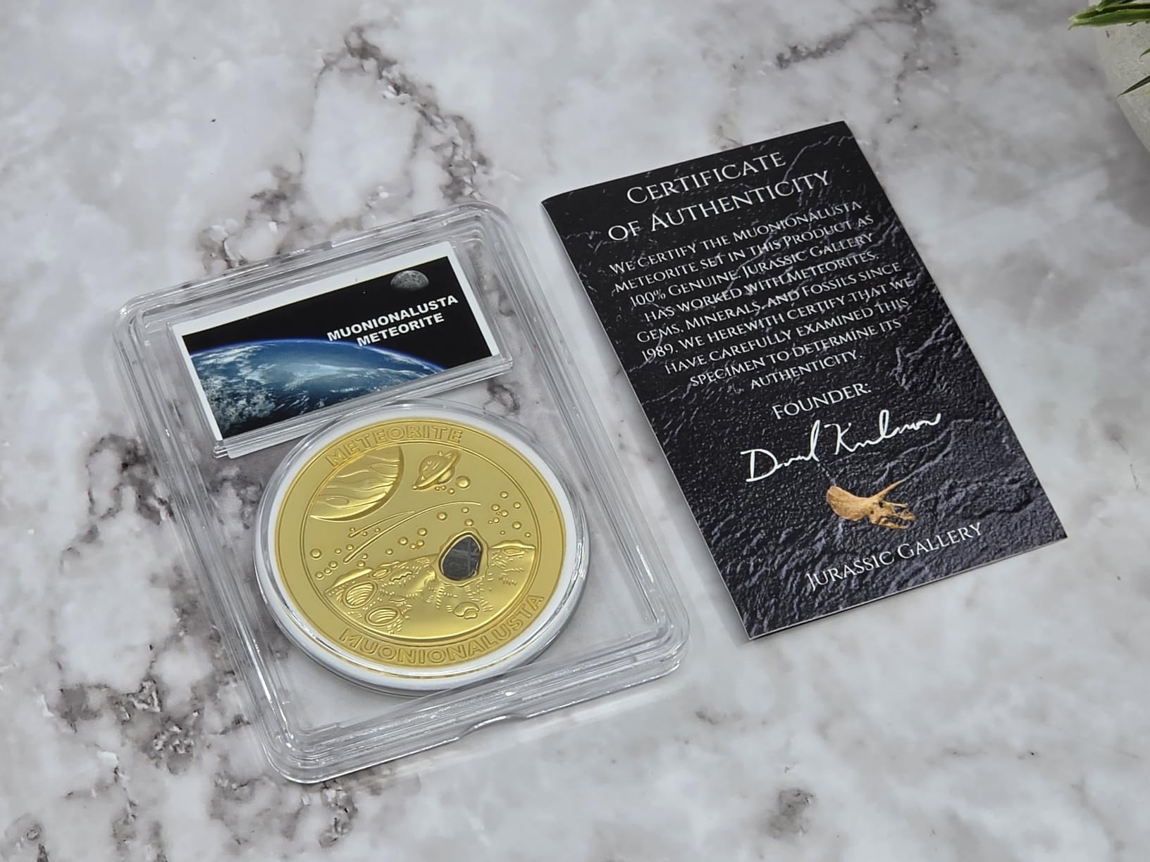 Genuine Muonionalusta Meteorite Collector Coin – Authentic Iron Meteorite Embedded, COA Included – Unique Space Gift for Collectors, Geologists & Science Enthusiasts (Bronze) customer photo 1