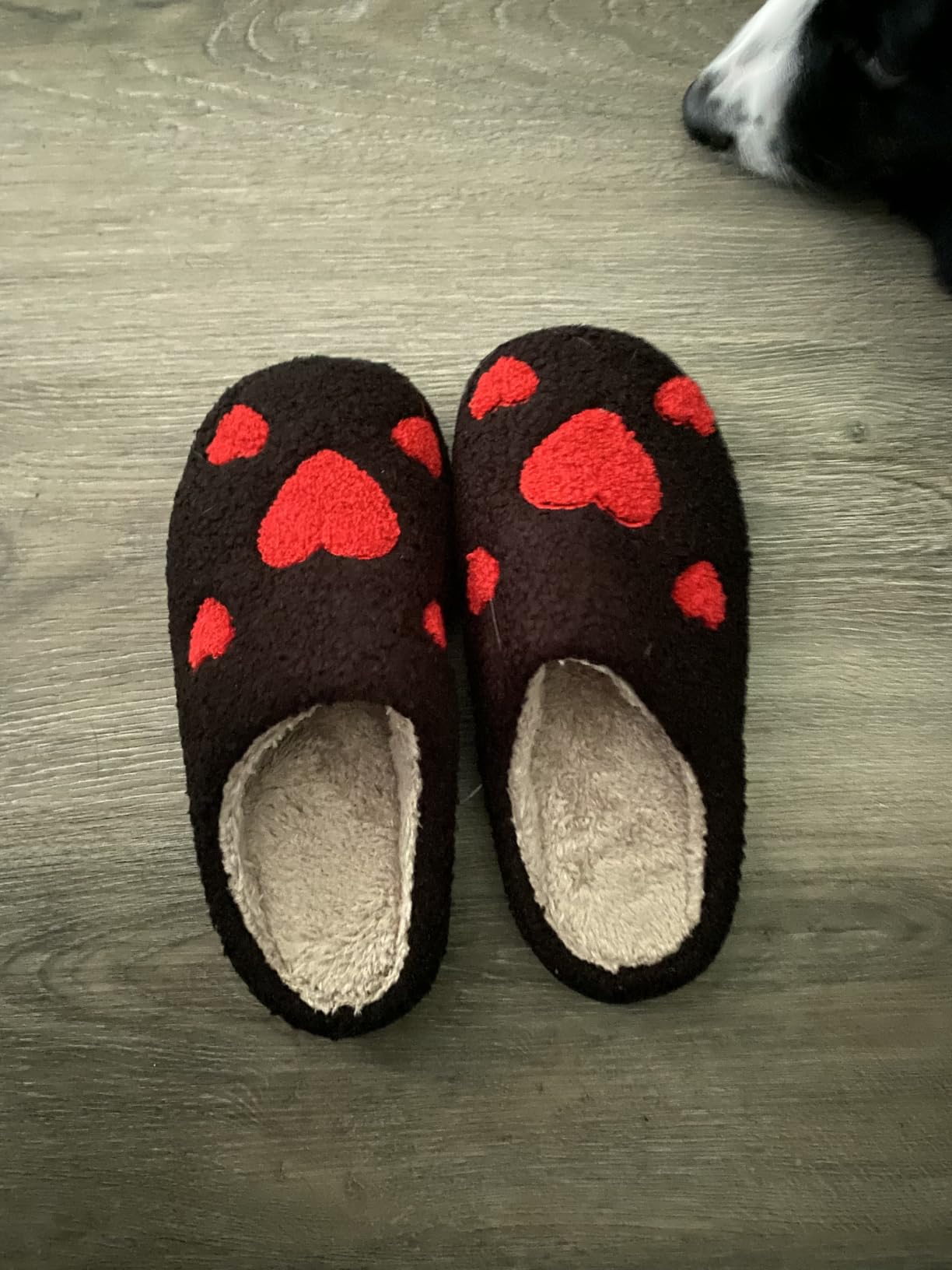 Spider Web House Slippers for Women Men, Cozy Fuzzy Plush Indoor Slippers with Warm Fleece Lining, Non-Slip Soft Sole Closed Toe Halloween Slippers, Black Red customer photo 1