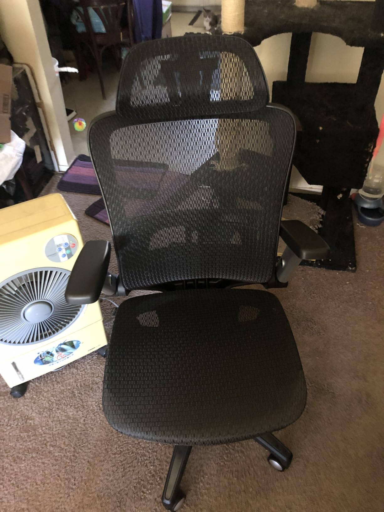 COLAMY Office Chair for Long Hours, Easy Wire-Control Desk Chair with Sliding Seat Depth & Thick Padded Lumbar Support, Heavy Duty 300 LBS High Back Mesh Computer Chair for Home Workstation, Brown customer photo 2