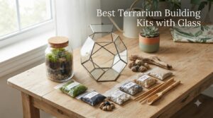Best Terrarium Building Kits with Glass