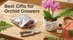 Best Gifts for Orchid Growers