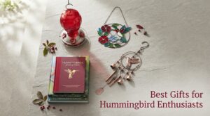 Best Gifts for Hummingbird Enthusiasts