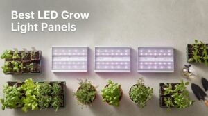 Best LED Grow Light Panels