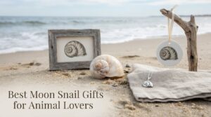 Best Moon Snail Gifts for Animal Lovers