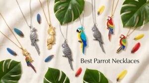 Best Parrot Necklaces