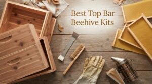 Best Top Bar Beehive Kits