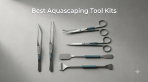 Best Aquascaping Tool Kits