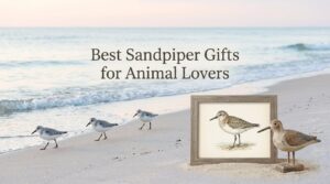 Best Sandpiper Gifts for Animal Lovers