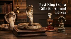 Best King Cobra Gifts for Animal Lovers