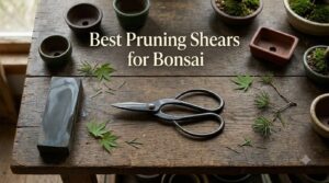 Best Pruning Shears for Bonsai