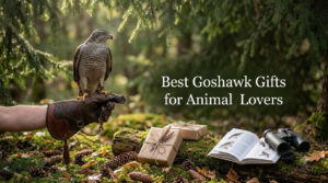Best Goshawk Gifts for Animal Lovers